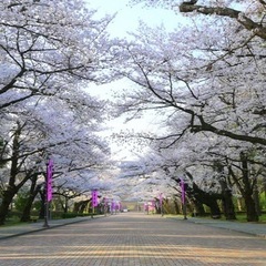 日本大学工学部、土木工学科