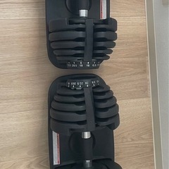 可変式ダンベル2個セット（24kg×2）　 トレーニングベンチ　の画像
