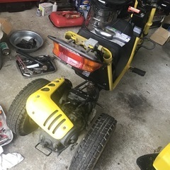 ロードフォックス  の画像