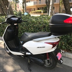 希少絶版車　ホンダ　リードEX 後期型　JF19 極上車の画像