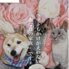 市民葬祭アステルの【葬儀のプロが執り行う】訪問型ペット火葬…