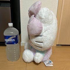 キティーちゃん  の画像