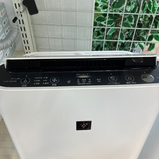 安心の6ヶ月保証付。【SHARP 加湿空気清浄機　KC-R50-W 2024年製】取りに来れる方限定
