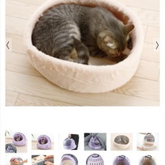 コロル　猫用キャリーの画像