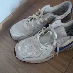 AIR MAX 1回履いただけですの画像