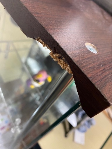 ガラス製ショーケース