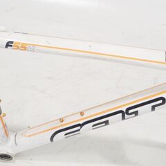 FELT 「フェルト」 F55X 2012年モデル フレームセットの画像