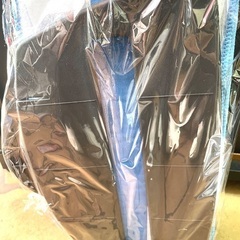 新品　展示品　HAAN デュアルスチームモップ　赤　SI-E7000の画像