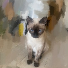 猫たちを引き取っていただけるよう、ご協力をお願い申し上げます。