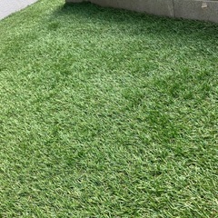 人工芝の画像