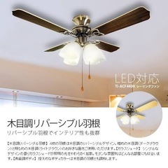【新品】T.I.I 42インチ シーリングファン ACF42-1の画像