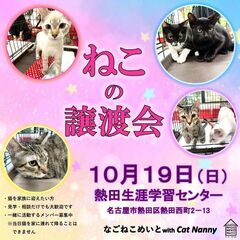 10／19 なごねこめいと 猫の譲渡会