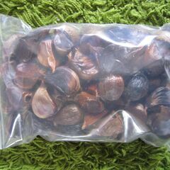 ★こんぴら黒ニンニク（熟成）５００グラム！の画像