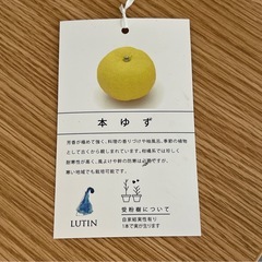 ゆずの木　植物
　の画像