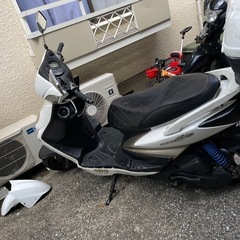 シグナス　乗って帰って構いませんの画像