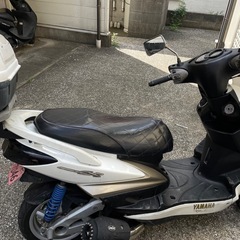 シグナス　乗って帰って構いませんの画像