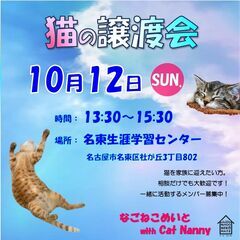 10／12(日) なごねこめいと 猫の譲渡会