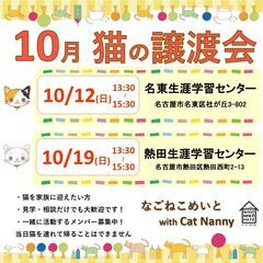 10／12、10／19 なごねこめいと 猫の譲渡会