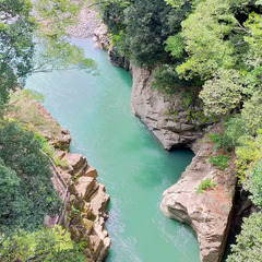 山梨コーヒー焙煎とローカルトリップ🍇☕ - イベント