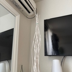 IKEAトルカの画像