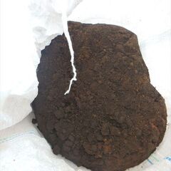 【東京都練馬区】花壇の庭土・残土、無料で差し上げます20【無料】の画像