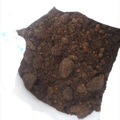 【東京都練馬区】花壇の庭土・残土、無料で差し上げます20【無料】の画像
