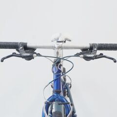 RALEIGH M50 1996年頃モデル マウンテンバイクの画像