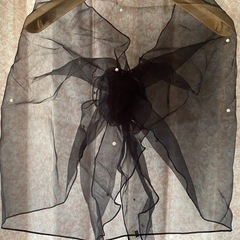 オーガンジーの画像