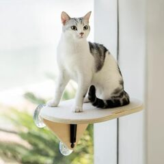 キャットステップ 窓用 吸盤 猫 の画像