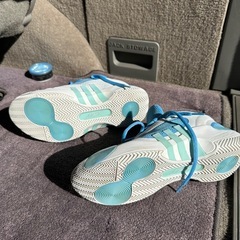 adidasバッシュ
の画像