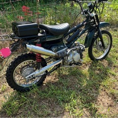 スーパーカブ　125cc オフロードしよう　仕様
の画像