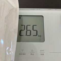 【残量9割】洗濯洗剤　カインズ　縦型　ドラム式　室内干しの画像