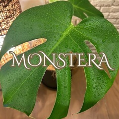 ❇️魅力たっぷり✨観葉植物【モンステラ】✨の画像