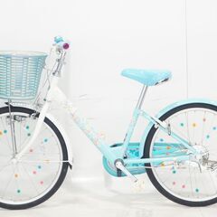 BRIDGESTONE エコパル 2020年モデル キッズバイクの画像