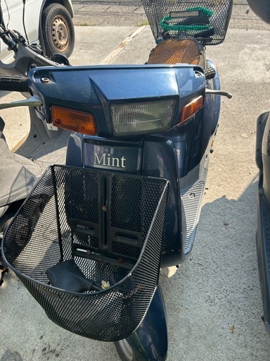 ヤマハ　ミント