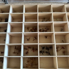釣具の画像