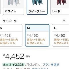 未使用品　ダイビングセットの画像