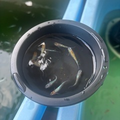天界確認用の画像