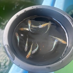 天界確認用の画像