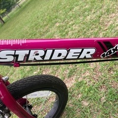 【ストライダー14x】ピンク/手渡し限定の画像