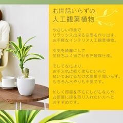 H人口観葉植物【ドラセナS／グリーン色】フェイクグリーン 造花 光触媒 インテリア 訳あり B品 アウトレット品 ※定価2,690円の画像