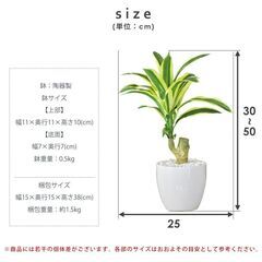 H人口観葉植物【ドラセナS／グリーン色】フェイクグリーン 造花 光触媒 インテリア 訳あり B品 アウトレット品 ※定価2,690円の画像