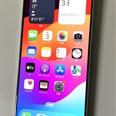 【極美品】iPhone15Pro Max 256GB ホワイトチタニウム の画像