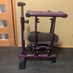 フィットネス器具　レッグマジックの画像