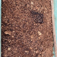 椎茸廃菌床ブロック　カブトムシ幼虫の餌　土壌改良に！の画像
