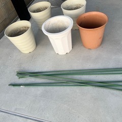 植木鉢　まとめての画像