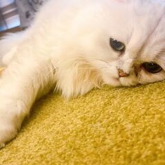 みんなも経験ある？