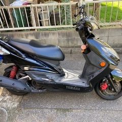 シグナス２型の画像