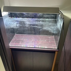 60オールガラス水槽、水槽台
の画像