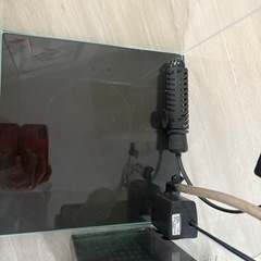 30cmキューブ水槽の画像